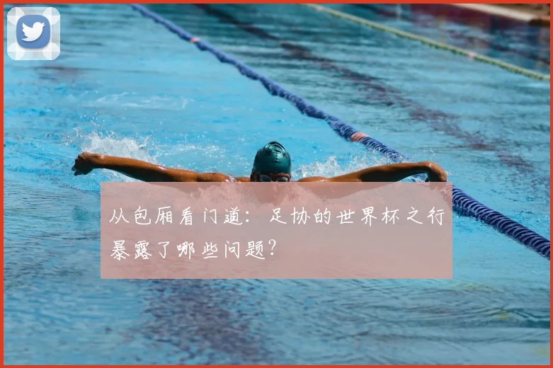 从包厢看门道：足协的世界杯之行暴露了哪些问题？