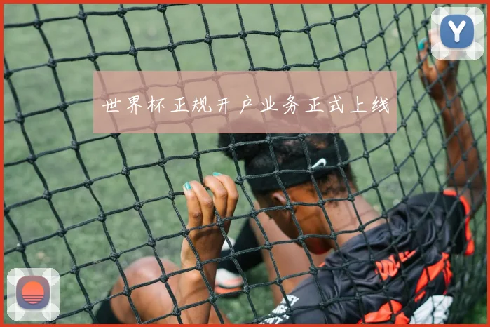 世界杯正规开户业务正式上线