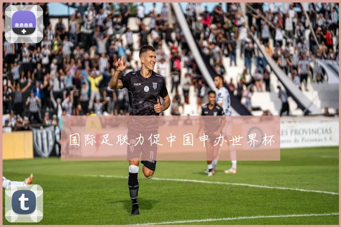 国际足联力促中国申办世界杯