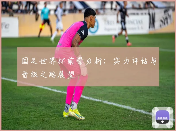 国足世界杯前景分析:实力评估与晋级之路展望