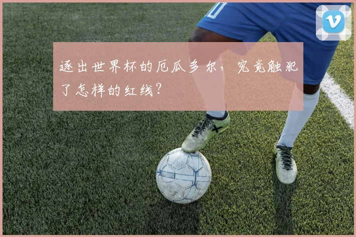 逐出世界杯的厄瓜多尔，究竟触犯了怎样的红线？