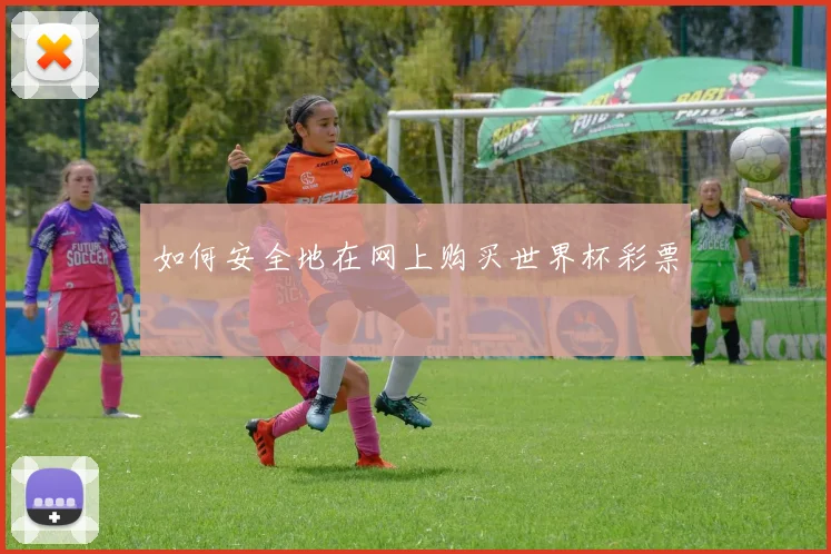 如何安全地在网上购买世界杯彩票