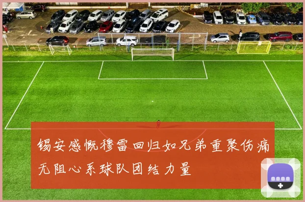 锡安感慨穆雷回归如兄弟重聚伤痛无阻心系球队团结力量