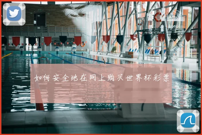 如何安全地在网上购买世界杯彩票