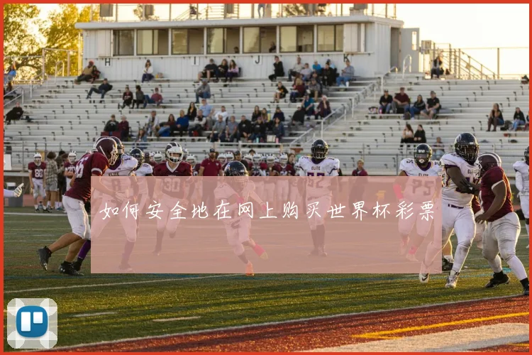 如何安全地在网上购买世界杯彩票