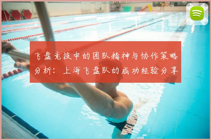 飞盘竞技中的团队精神与协作策略分析：上海飞盘队的成功经验分享