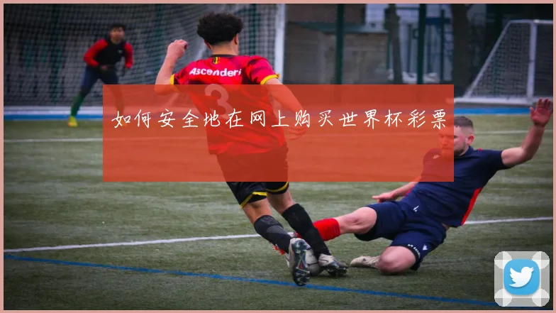 如何安全地在网上购买世界杯彩票