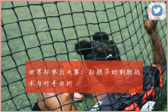 世界杯单打决赛:孙颖莎的制胜战术与对手分析