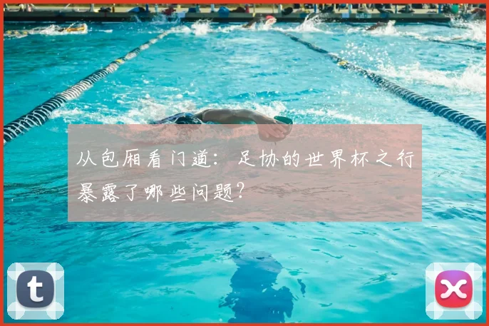 从包厢看门道:足协的世界杯之行暴露了哪些问题?