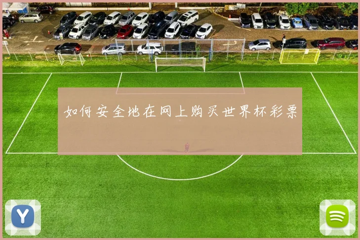 如何安全地在网上购买世界杯彩票