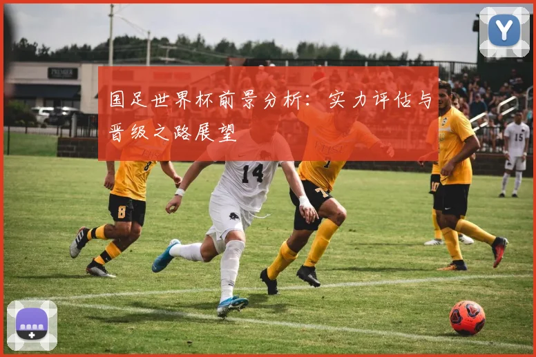 国足世界杯前景分析:实力评估与晋级之路展望