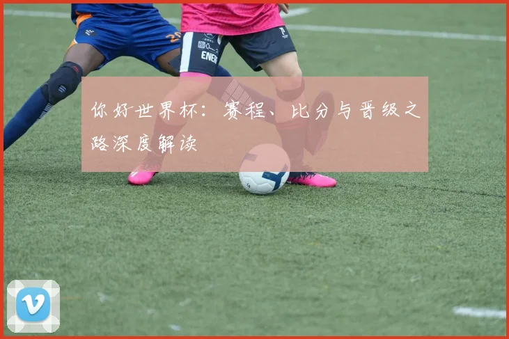 你好世界杯：赛程、比分与晋级之路深度解读