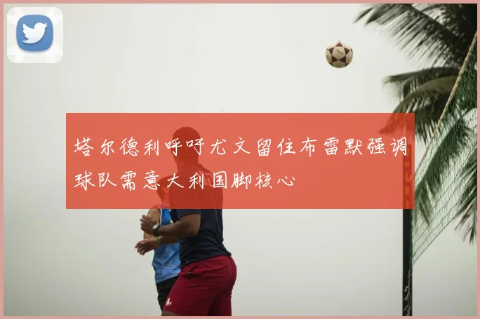塔尔德利呼吁尤文留住布雷默强调球队需意大利国脚核心