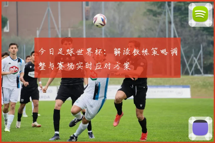 今日足球世界杯：解读教练策略调整与赛场实时应对方案