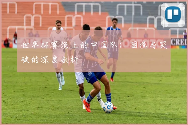 世界杯赛场上的中国队：困境与突破的深度剖析