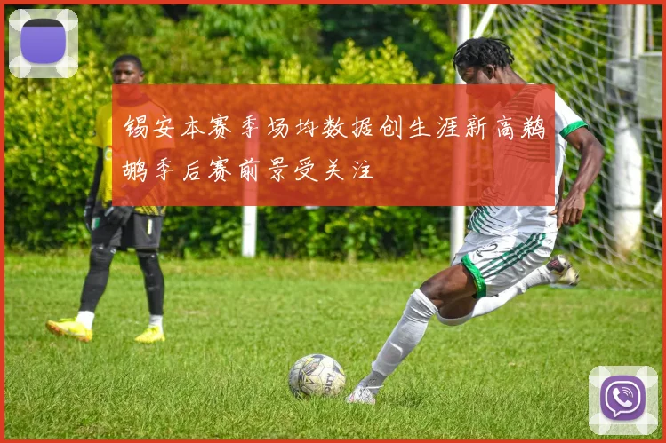 锡安本赛季场均数据创生涯新高鹈鹕季后赛前景受关注